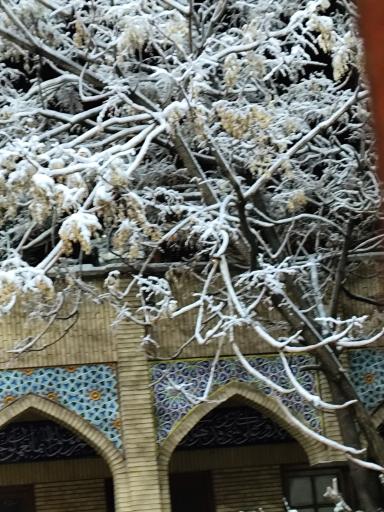 عکس مسجد جامع امامزاده قاسم شمیران 