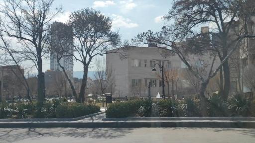 عکس فضای سبز 