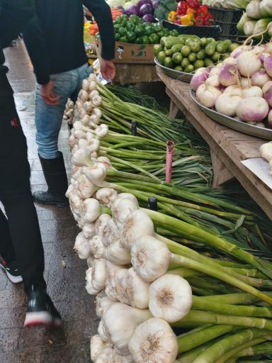 عکس پیاده راه امام خمینی