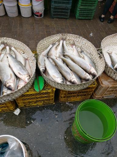 عکس پیاده راه امام خمینی