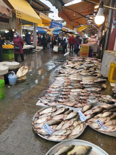 عکس پیاده راه امام خمینی