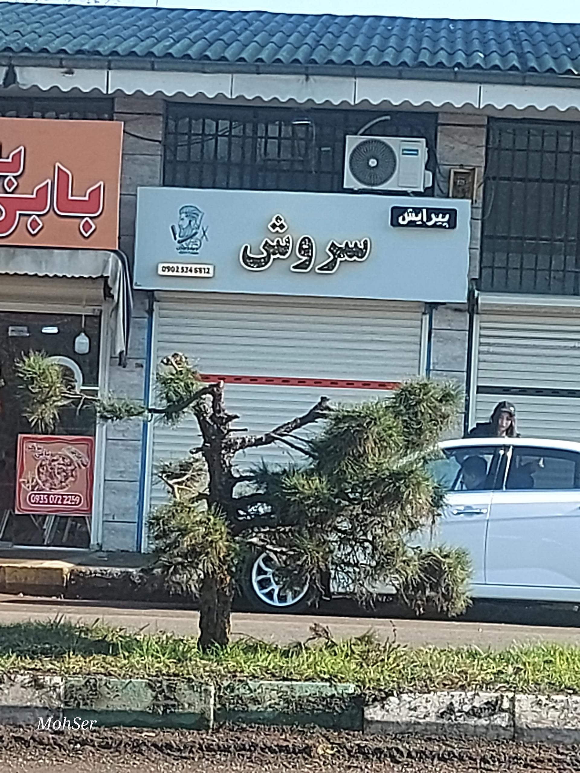 عکس پیرایش سروش