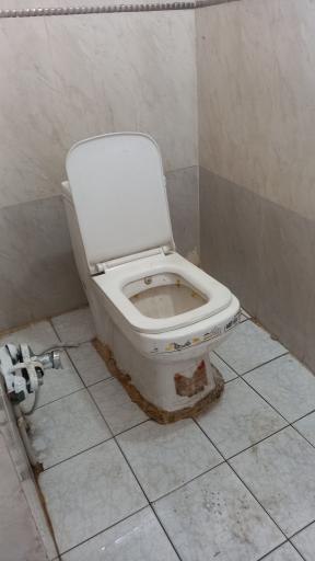 عکس سرویس بهداشتی یاس