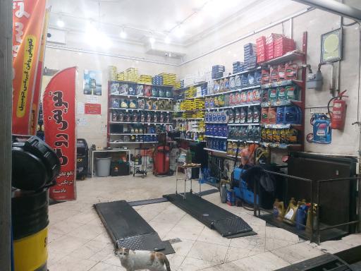 عکس تعویض روغن زرین