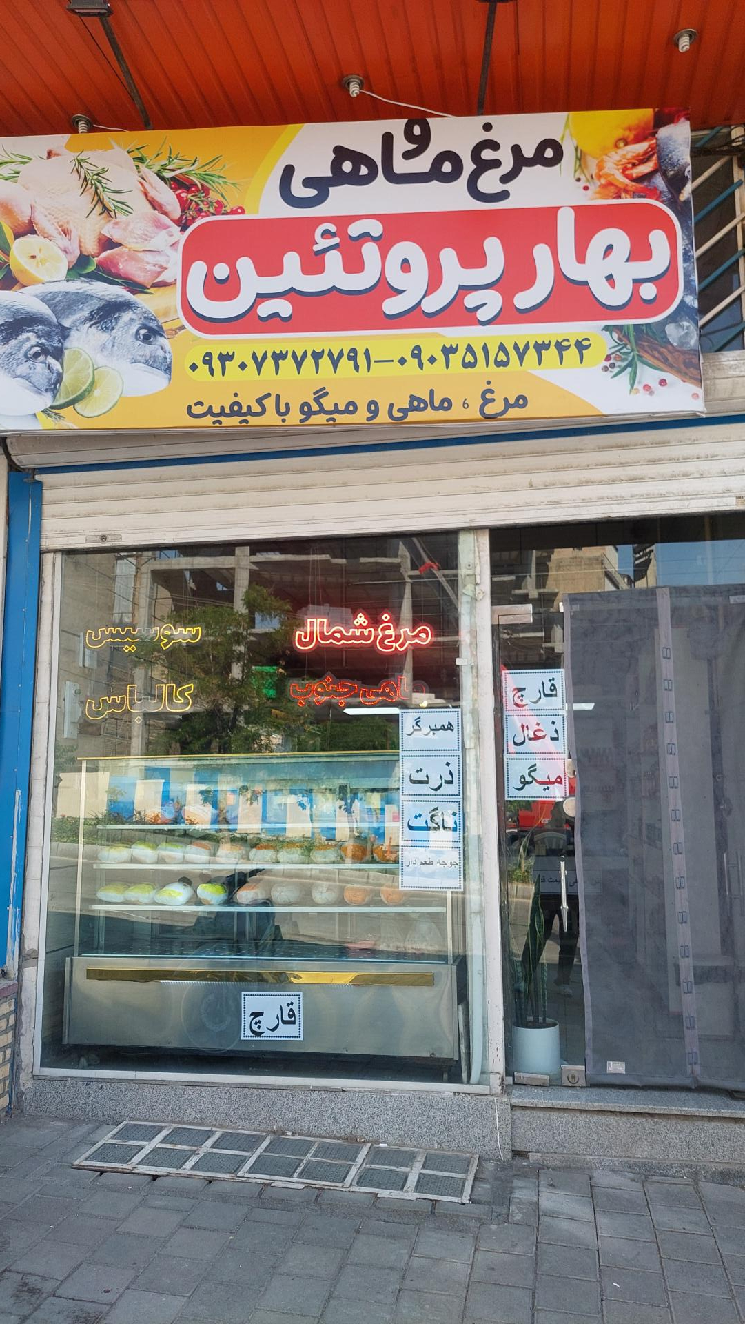 عکس مرغ و ماهی بهار