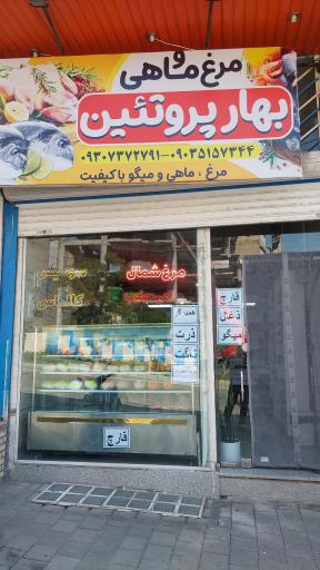 مرغ و ماهی بهار