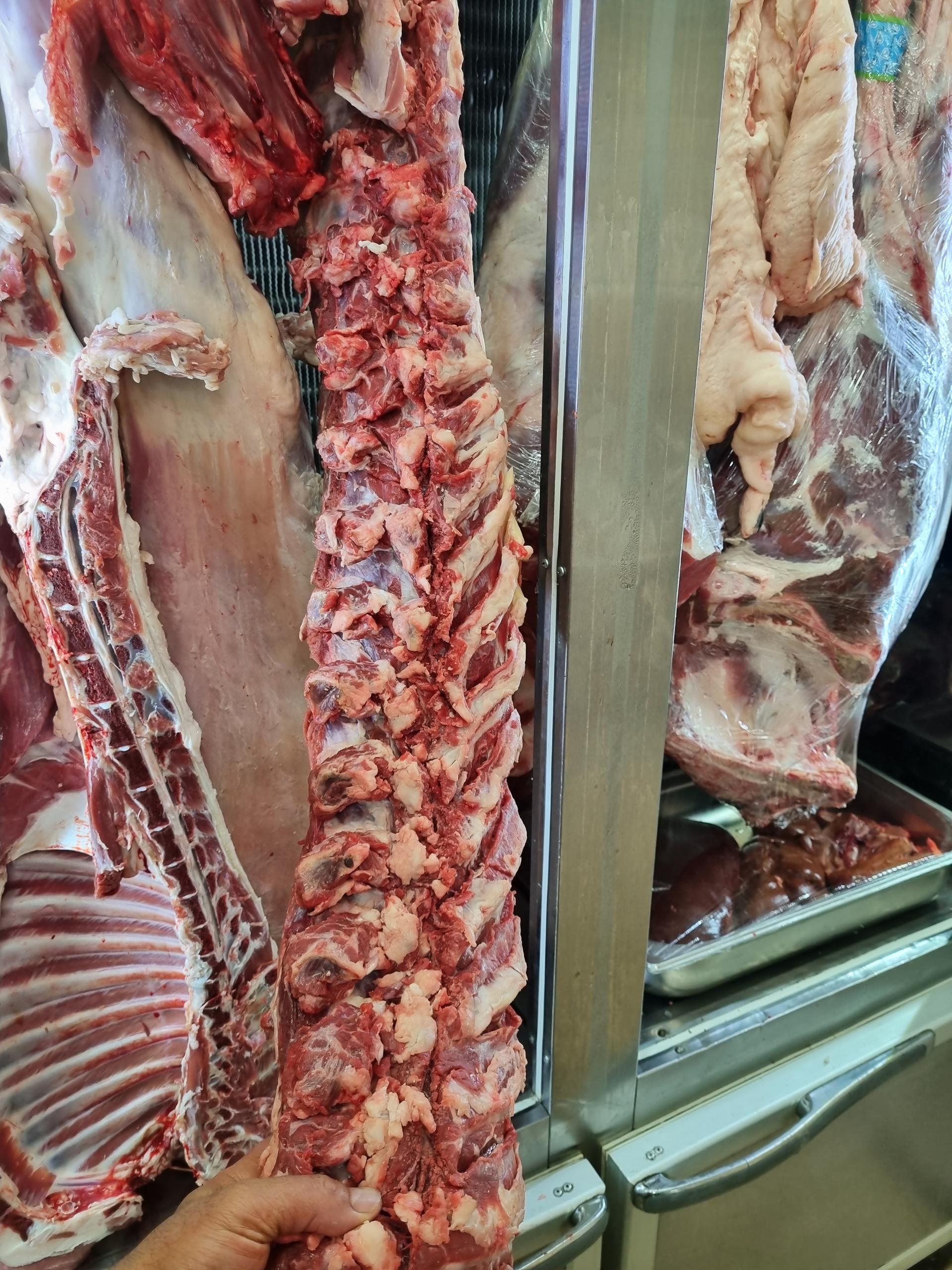 عکس سوپر پروتئین سیاوش