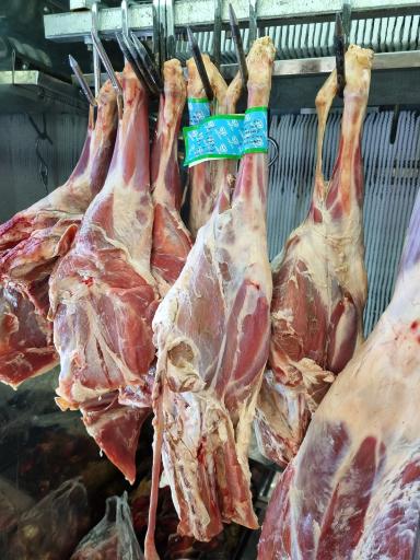 عکس سوپر پروتئین سیاوش