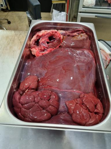 عکس سوپر پروتئین سیاوش