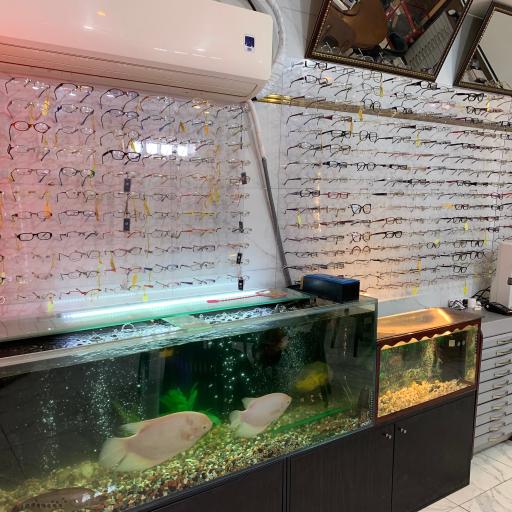 عکس عینک باران 27