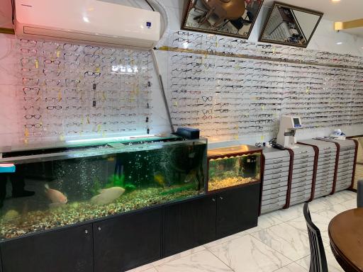 عکس عینک باران 27