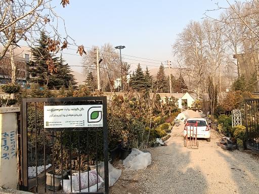 عکس گل باغ گل گوشه شعبه لواسان 