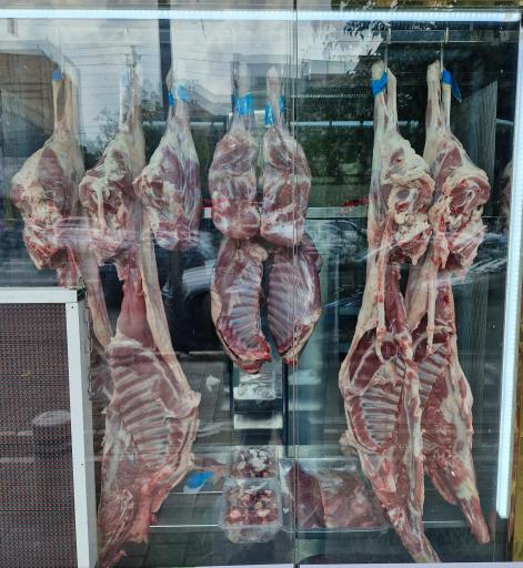 عکس گوشت حشمتی 