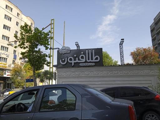 مجموعه طلا و فنون ایران 