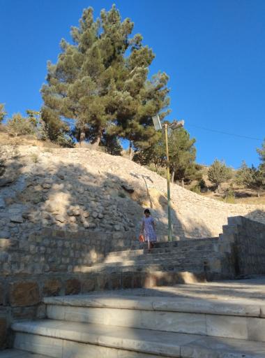 عکس بش قارداش