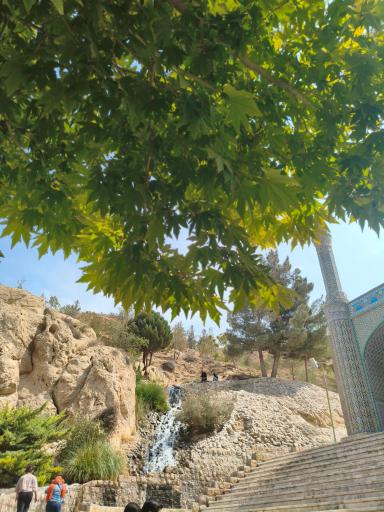 عکس بش قارداش