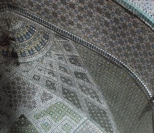 عکس بش قارداش