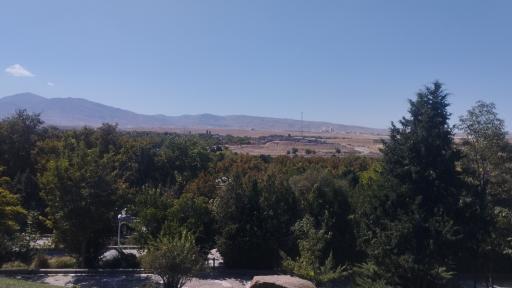 عکس بش قارداش