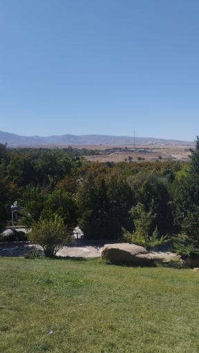 عکس بش قارداش