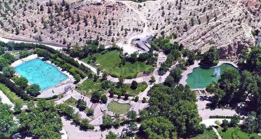 عکس بش قارداش