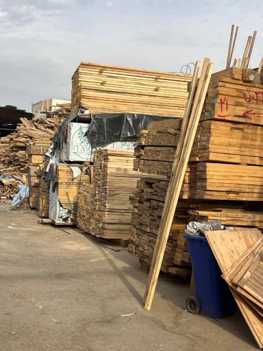 عکس خزر چوب نیرومند