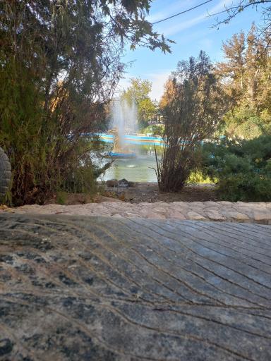 عکس بش قارداش