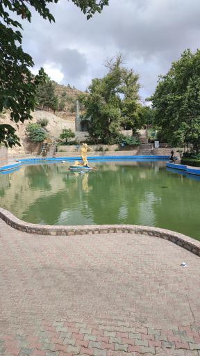 عکس بش قارداش