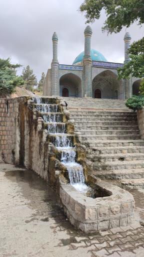 عکس بش قارداش