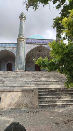 عکس بش قارداش
