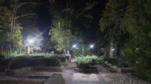 عکس بش قارداش