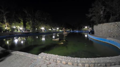عکس بش قارداش