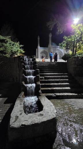 عکس بش قارداش
