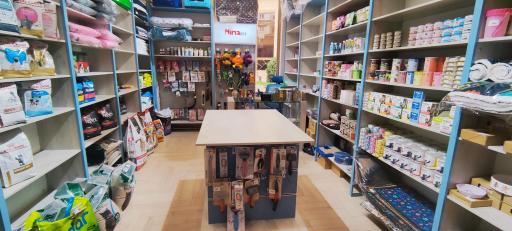 عکس پت شاپ لاوین 