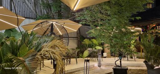 عکس کافه رستوران مراکی