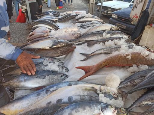 عکس بازار ماهی دروازه کازرون