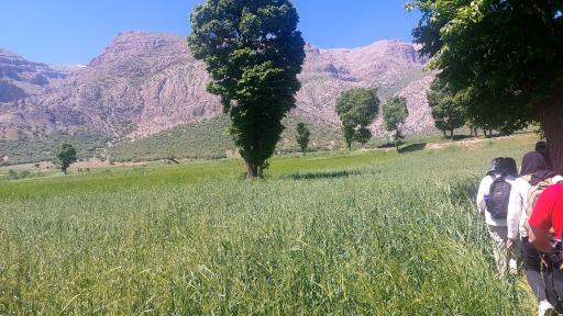 عکس دره اسپر