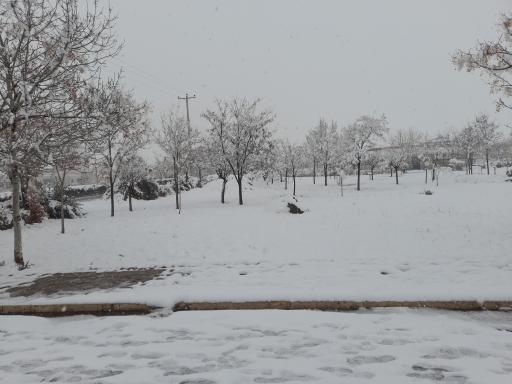 عکس دانشکده فنی 