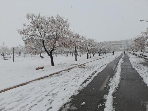 عکس دانشکده فنی 
