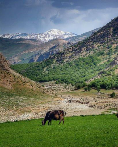 عکس دره اسپر