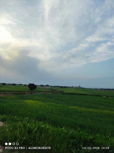 عکس شهرک شهید محمدی