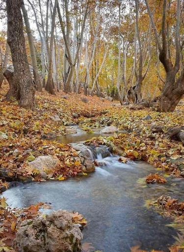 عکس تنگه غوره دان