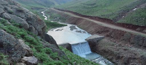 عکس گراب