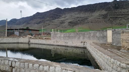 گراب