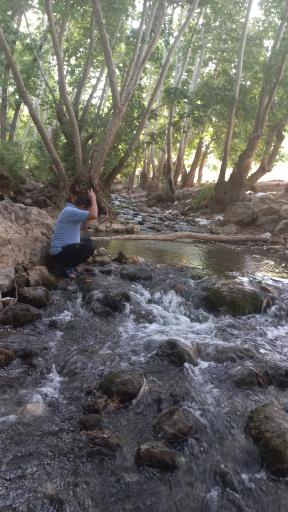 عکس تنگه غوره دان
