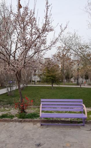 عکس بوستان یاقوت