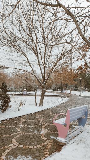 عکس بوستان یاقوت