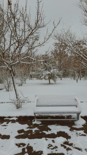 عکس بوستان یاقوت