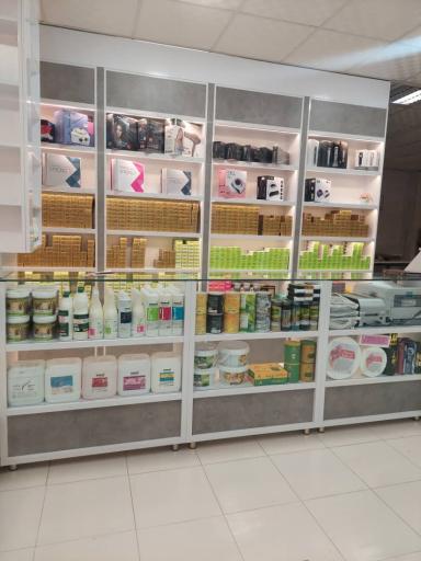 گالری لوتوس