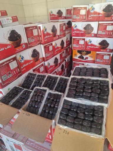 عکس خرما عزیزی