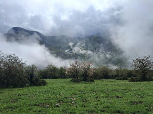 عکس دریاسر